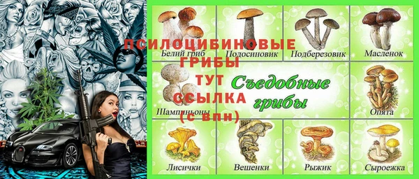 PSILOCYBIN Аркадак